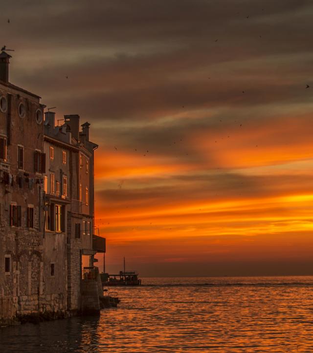 Sunset Party